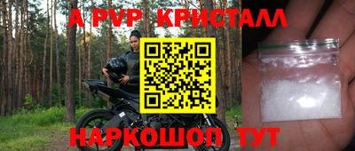 СК Будённовск