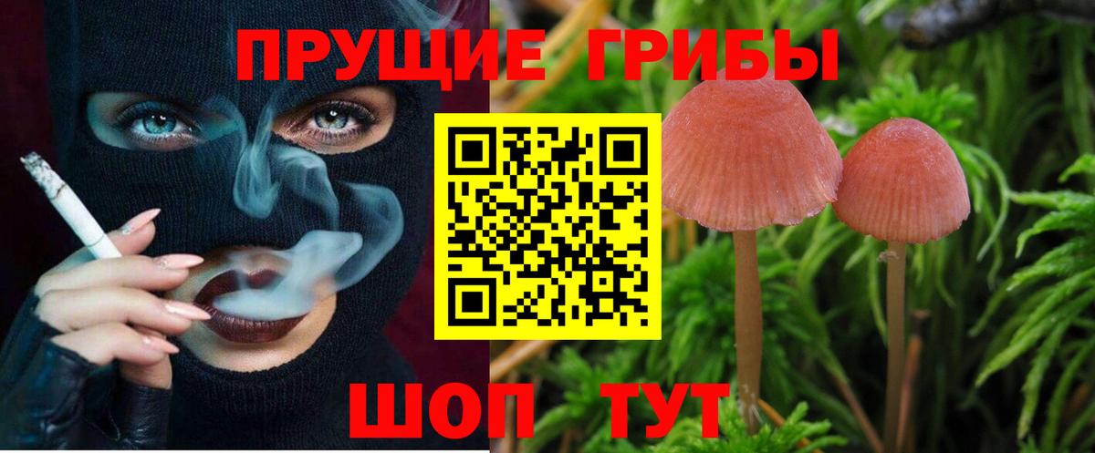 Галлюциногенные грибы Magic Shrooms  Вход с VPN  Галлюциногенные грибы Psilocybine cubensis  Чехов 