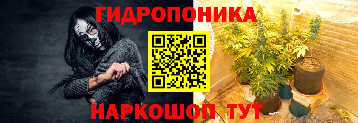 Шишки марихуана AK-47 Чехов